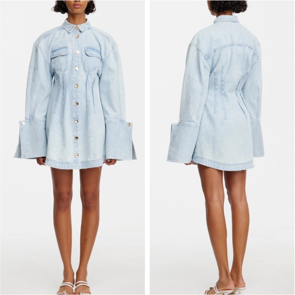 acler dales mini dress Acler Dales Mini Dress in Chilli